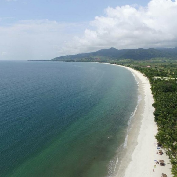 Meet your Posher, Gavin - Picture 1 of 1